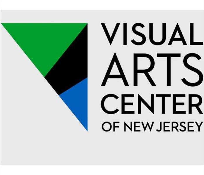 The Visual Arts Center Logo