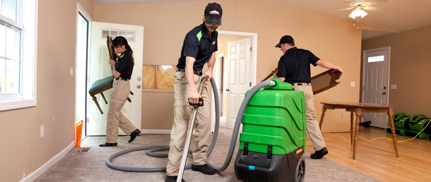 Nutley, NJ cleaning services